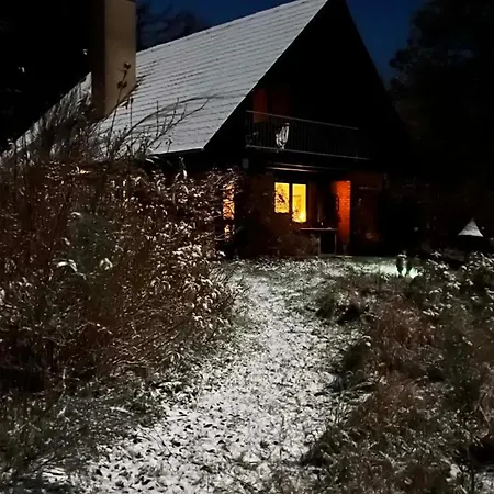 Feriehus In The Forest With Sea View *