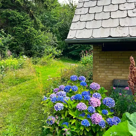 Met Zeezicht In Het Bos Vakantiehuis